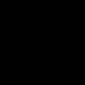 Meet your Posher, Lisette